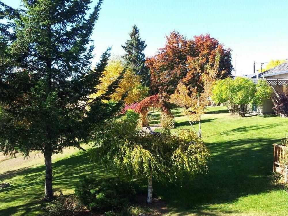 וויליאמס לייק Drummond Lodge מראה חיצוני תמונה